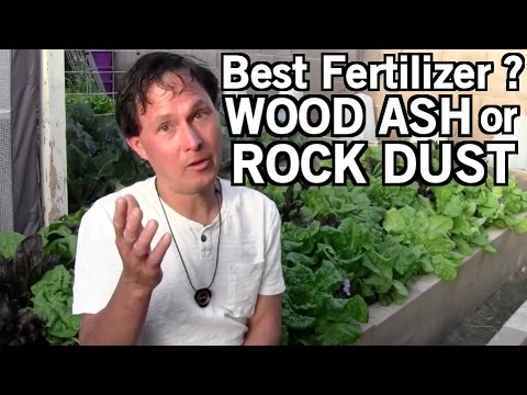 how to fertilize raised bed garden