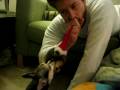 videos de Chu-Chu the tough big dog
