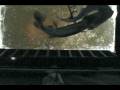 Pike Spearing-The Best Underwater Footage