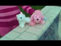 WEBKINZ 4 WEBKINZ 4