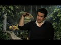 damen norton from heyuguys interviews colin farrell for his movie epic. he also talks about his favourite animated movie and working on saving mr. banks with...