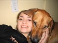 In Loving Memory of Shenzi Pictures