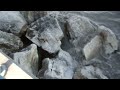Click here to watch this video Zach (Irwin)
