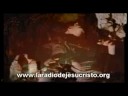 Video subido con la API