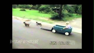 America's Funniest Home Videos - Nhung Clip hai hay nhat - tap 108