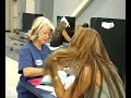 Silverado High School Blood Drive - 05/18/2007