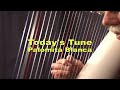 Palomita Blanca on PVC harp , by John Kovac, harper and harp maker