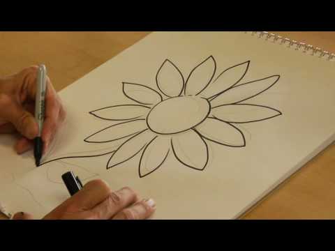 Drawing From Nature : How to Draw a Daisy