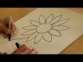 Drawing From Nature : How to Draw a Daisy