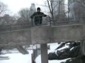A Snow Day In Central Park