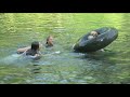 the river