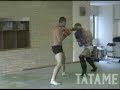Wandy & Shogun Sparring