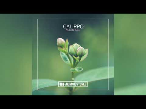 Calippo - Nocturnal