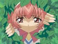 Pretear-Kiss me HimenoXHayate