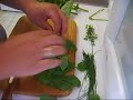 how-i-dry-my-herbs.html