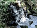 Presa do mui�o