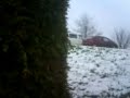 mini bus attack