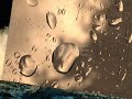 OCEANO - Lisa