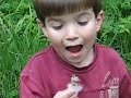 MVI_0077_Zak_dandelion!