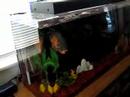 Update -- Fish Tour big Oscar Update -- Fish Tour big Oscar