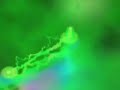 Semen-Soap