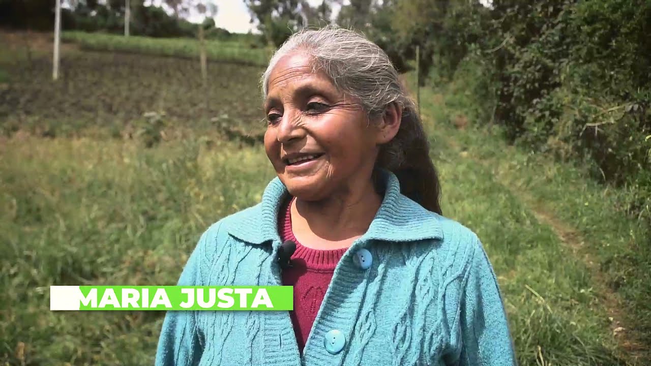 Transformación de lana de oveja en prendas ancestrales en Carlosama, Nariño
