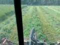 Silage-cutting