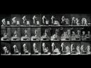 Eadweard Muybridge Tribute