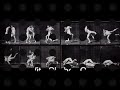 Eadweard Muybridge Tribute