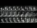 Eadweard Muybridge Tribute