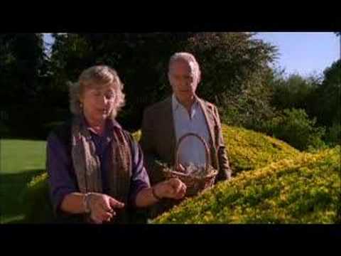 RABBIT FEVER - DVD TRAILER