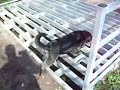 Bertie the cattlegrid dog
