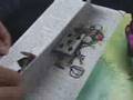 alice popup book
