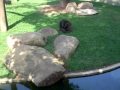 Srilanka Zoo (part-2)