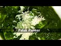 Palak Paneer (Cottage Cheese in Spinach Gravy)