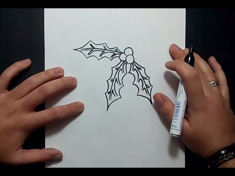 how to draw mistletoe