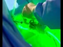 The GreenLight PVP