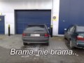 Mistrz Parkowania - Parkowanie na wesoło View Video