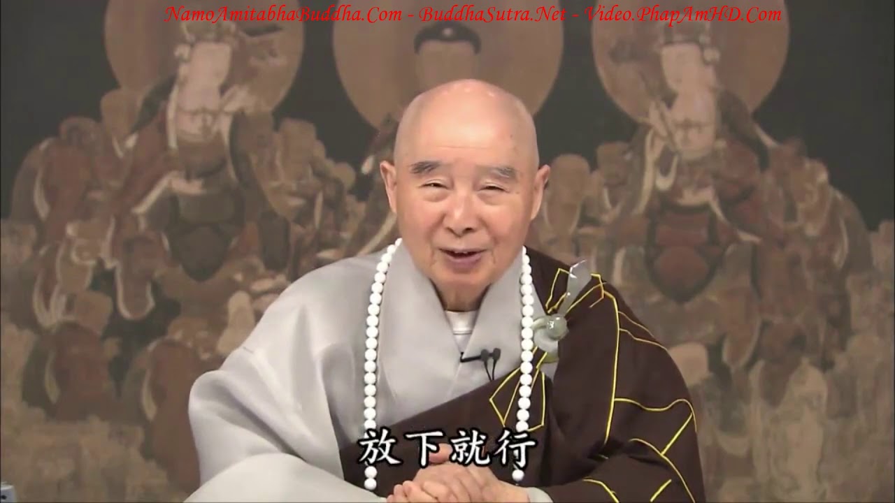 Tập 319 Tại Sao Phật A Di Đà Kiến Lập Nên Thế Giới Cực Lạc, Tịnh Độ Đại Kinh Giải Diễn Nghĩa, Diệu Â