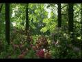 Vivaldi - Sinfonia, RV 117  (Rinaldo Alessandrini)
