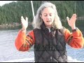 Fish Farms Sea Lice and the Broughton Archipelago