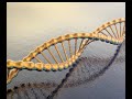 how evolution works part 3  dna
