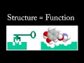 How Evolution Works Part 3- DNA