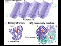 how evolution works part 3  dna