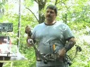 Hunting Tips: Time to begin target practice for deer season