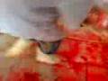 Matando frango *EAF-Col*
