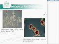 Palestra de Leandro Coelho Dalvi - parte 2 - 1º Mini Fórum sobre ETEs APLYSIA