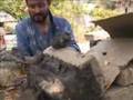 Natural alternative building