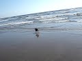 Maddy meets the Pacific Ocean for the first time