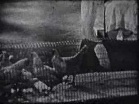 Linoleum (excerpt) Robert Rauschenberg